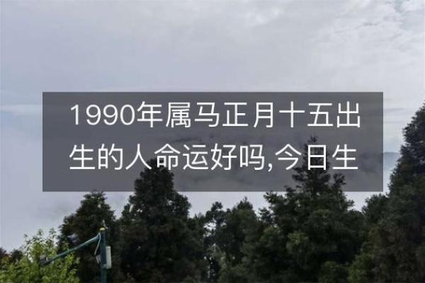 1994年出生的人命运分析:从农历看属什么命 1994年出生的人命运分析:从农历看属什么命