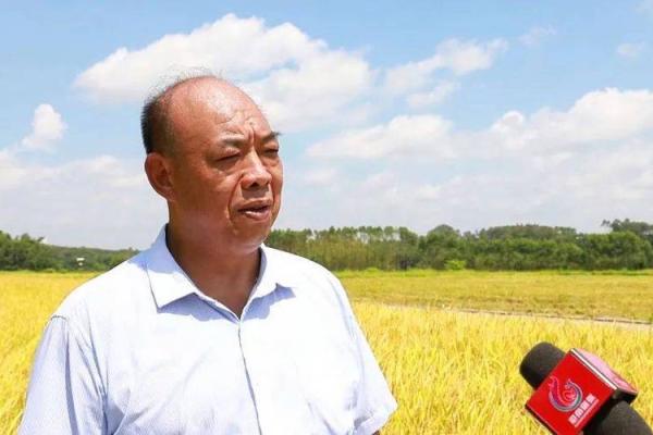 村里命兵政策助推乡村振兴新局面