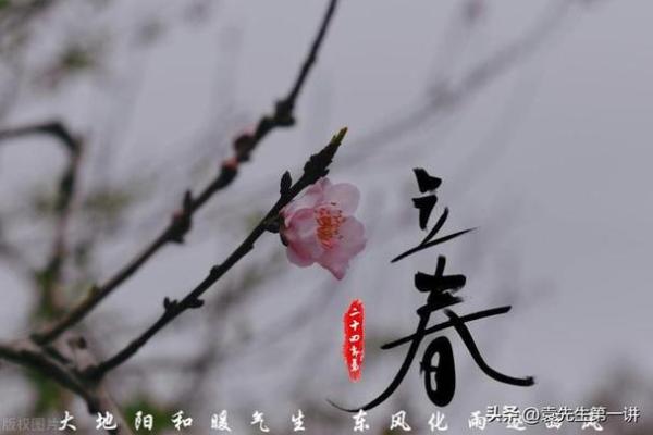 立春出生的命格解析：运势与性格的深度剖析