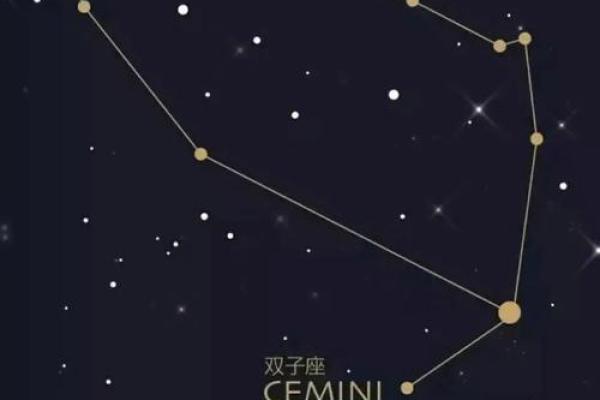 命格461解析：运势与个性深度剖析