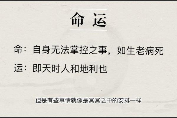 俩鼻孔向上的命运解析:风水与个性提升之路 俩鼻孔向上的命运解析:风水与个性提升之路