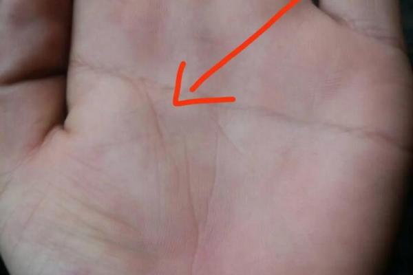 女人左手断掌纹的命运解析与影响 女人左手断掌纹的命运解析与影响