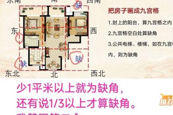 1969年土鸡命的命理解析与数字运用