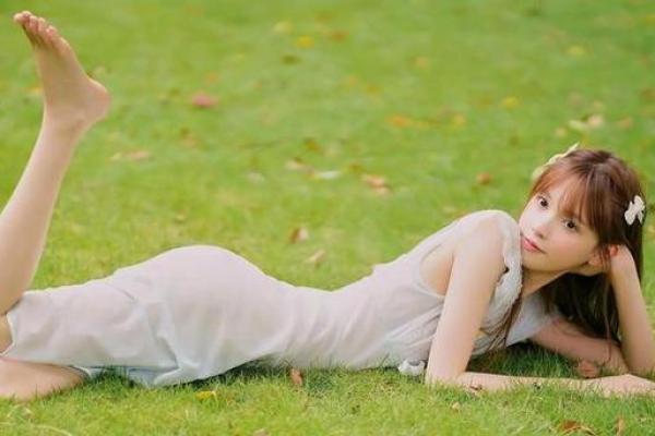 属猪人命运之谜：揭开命不好背后的秘密与真相