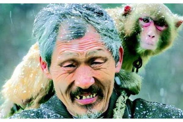 三命之说：古籍中的神秘动物与其象征意义