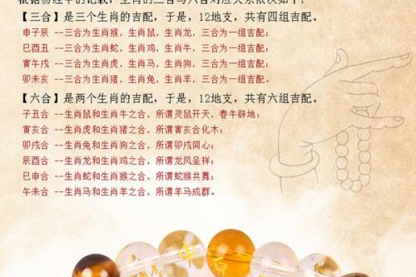 猴子命里怕什么生肖？解密猴子与生肖的微妙关系