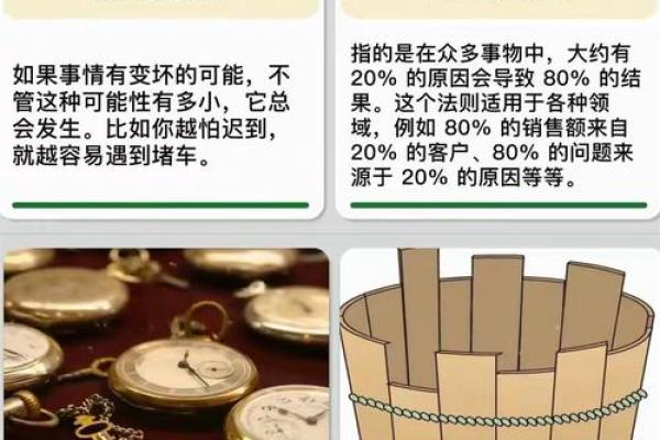 探索童子命：神秘特征与生活影响