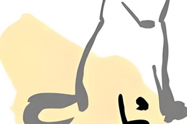 根据出生日生肖解读不同命运，揭示生活的秘密与潜力