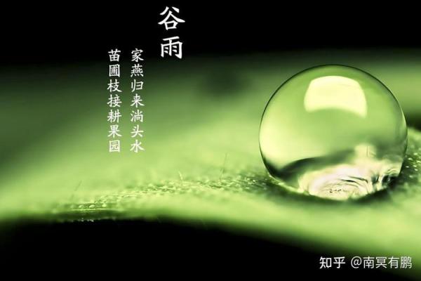 命里缺水,如何选择合适珠子来调和运势? 命里缺水,如何选择合适珠子来调和运势?