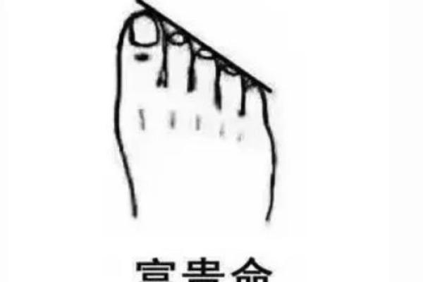 揭秘女生脚型与富贵命的奇妙关系，真相令人惊叹！