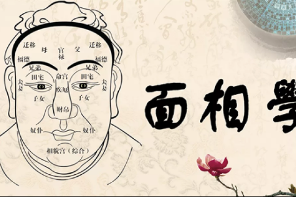 眼睛短的人是什么命：从面相看人生际遇与性格分析