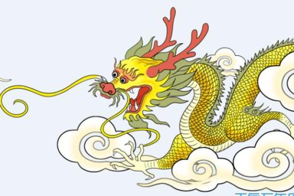 2000年龙的命运揭秘：你的未来藏在五行之中！