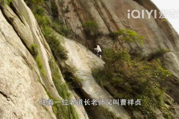 水命与颜色的缘分：寻找生命中的色彩之道