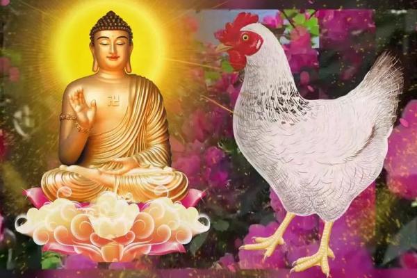 2017年属鸡女孩的命运解析:揭秘她们的个性与人生旅程 2017年属鸡女孩的命运解析:揭秘她们的个性与人生旅程