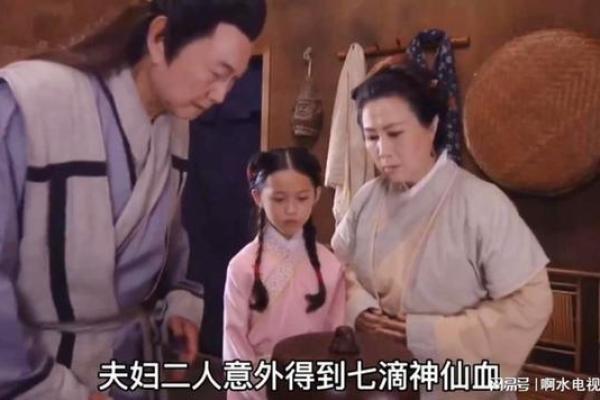 如何看待神仙的角色与老头的命运之谜