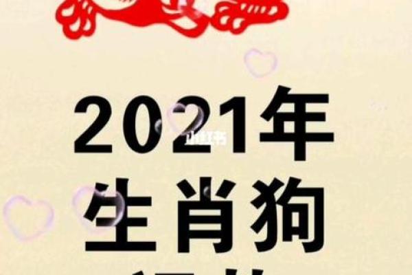 明年是什么命年?揭秘2021年的生肖运势与生活指导 明年是什么命年?揭秘2021年的生肖运势与生活指导