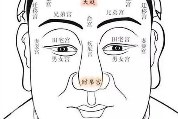 探索水命人：水命人的种类与性格特征解析