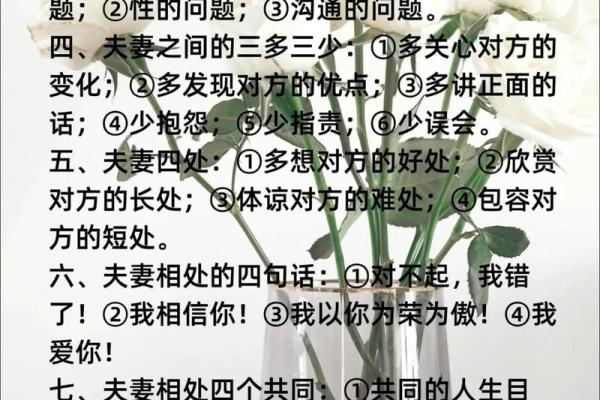 关于《不是命》的深度解读与思考：爱与人生的交织