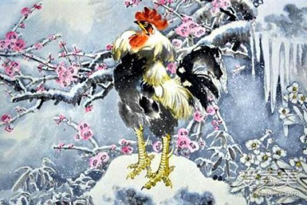 88岁属鸡之命，如何在晚年绽放光彩？