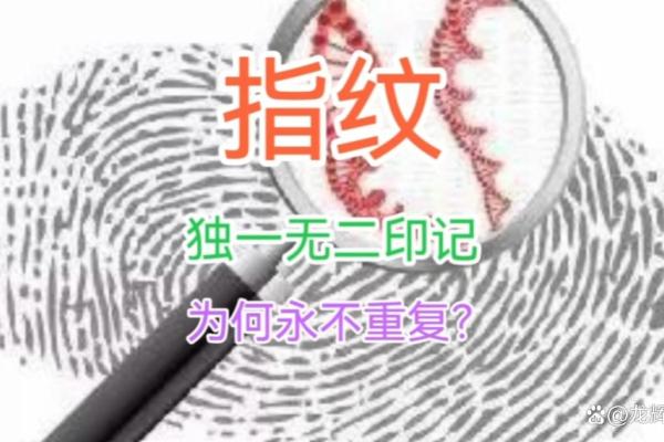 指纹的奥秘:不同指纹的命运解析,揭示人生的奇妙轨迹 指纹的奥秘:不同指纹的命运解析,揭示人生的奇妙轨迹