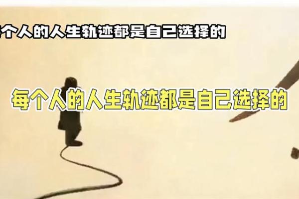 1981年虎年出生的命运解析：探秘人生轨迹与性格特征