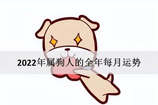 属狗人在2023年多大?命运与运势剖析 属狗人在2023年多大?命运与运势剖析