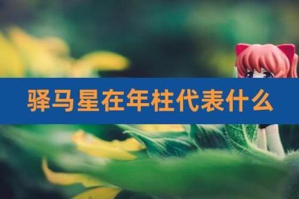 揭开命带驿马星的神秘面纱，了解运势与人生机遇的重要性