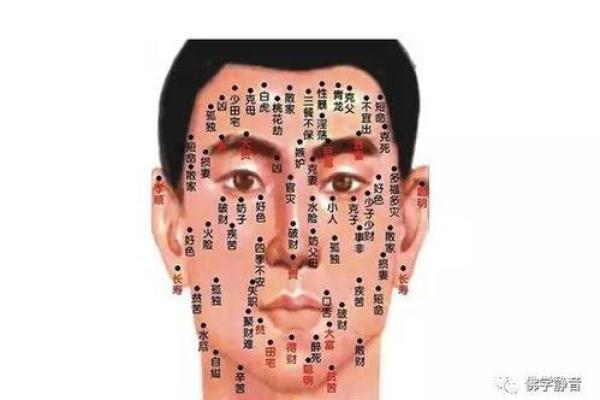 男人面相解读：哪些特征预示着富贵命和好运气？