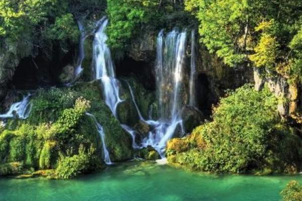 探寻大海水命猪的独特偏好与命理魅力