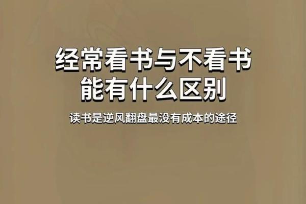 大海水命的数字喜好与生活智慧探索 大海水命的数字喜好与生活智慧探索