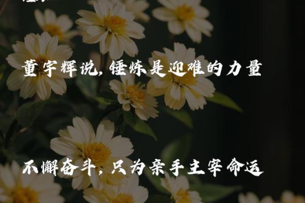 掌控命运：如何通过自我选择改变人生轨迹