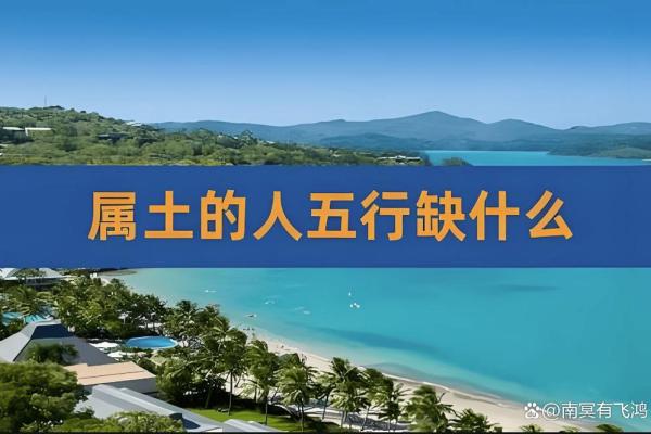 土命女生适合的生意：让土壤滋养梦想的创业路