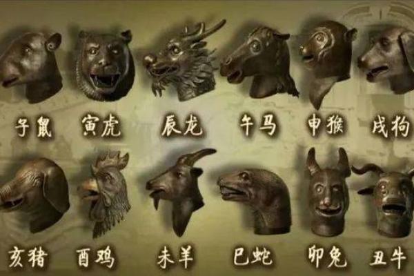 算卦与生肖命:揭示你命运的神秘密码 算卦与生肖命:揭示你命运的神秘密码