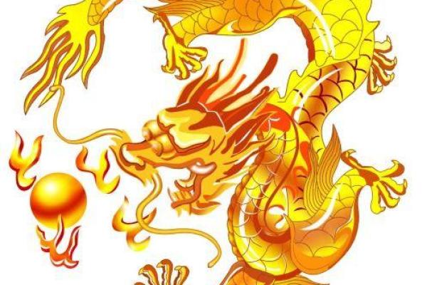 探索2004年属龙之人：他们的金命与独特人生轨迹