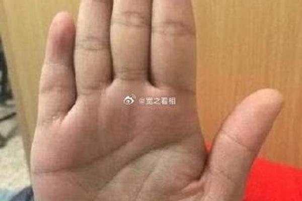 命主星解析:探寻星座中隐藏的生命智慧和个性魅力 命主星解析:探寻星座中隐藏的生命智慧和个性魅力