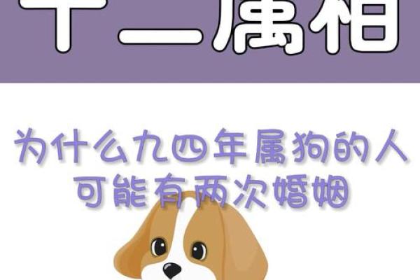 2023年属狗人的命运揭秘:走向成功与幸福的关键 2023年属狗人的命运揭秘:走向成功与幸福的关键