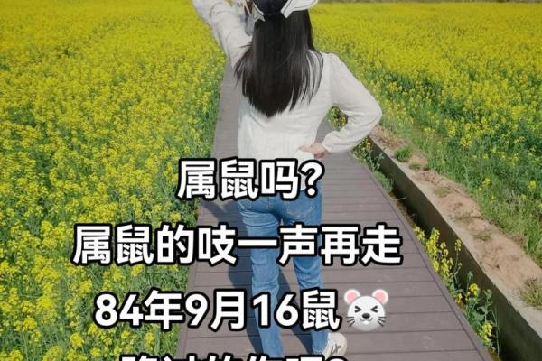 阴历84年属鼠,属于什么命?揭秘这一年出生的命理特点! 阴历84年属鼠,属于什么命?揭秘这一年出生的命理特点!