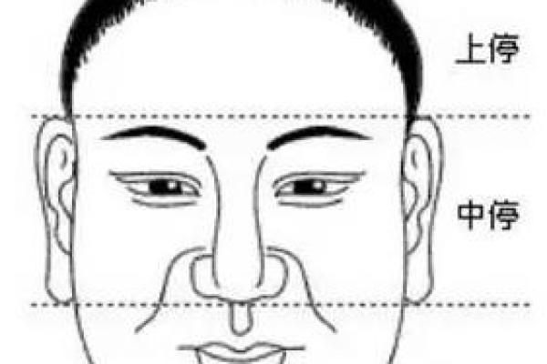 面相揭秘：从五官看男人的富贵命运