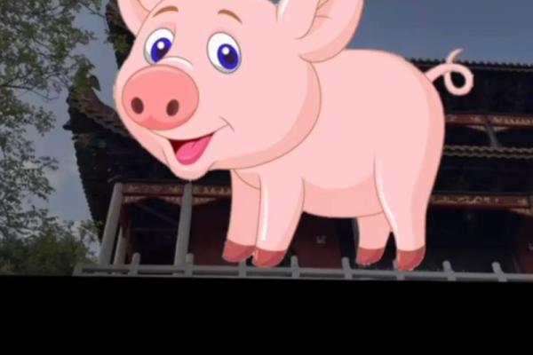 1971年属猪人的命运与性格解析：一生的机遇与挑战