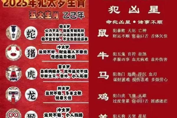 1993年鸡年宝宝的命理解析与人生走向分析 1993年鸡年宝宝的命理解析与人生走向分析