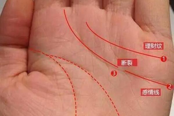 男性左手的命运之谜:解读手相背后的秘密 男性左手的命运之谜:解读手相背后的秘密