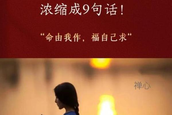 极限狐狸的命格与秘密：探寻其魅力与个性背后的奥秘