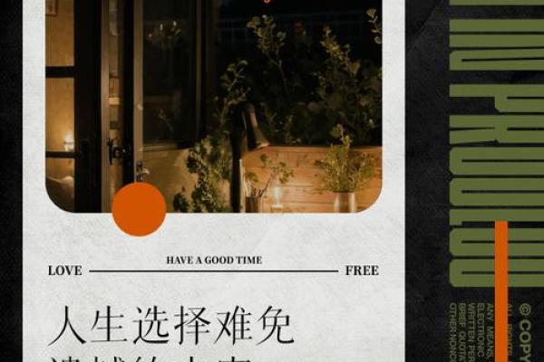 2005年命运轮回：揭示人生的选择与机遇