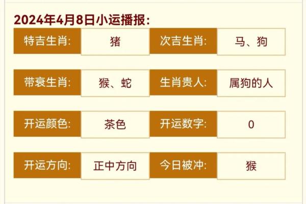 2019年属猪的生肖解读：一生运势与性格揭秘