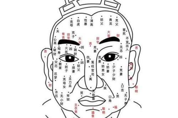 鼻子塌的命运解读:从相学看人生吉凶与运势变化 鼻子塌的命运解读:从相学看人生吉凶与运势变化
