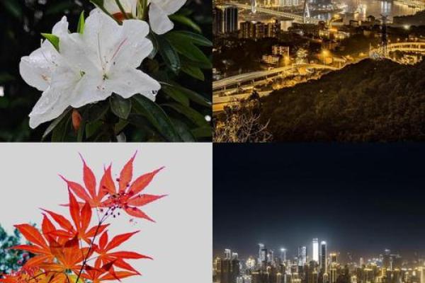 贾乃亮新剧《什么命》:探索人性与命运的精彩旅程 贾乃亮新剧《什么命》:探索人性与命运的精彩旅程