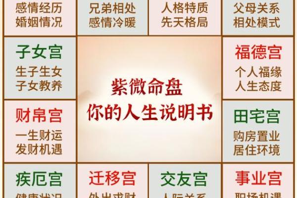 2009年出生的人：命理解析与人生启示