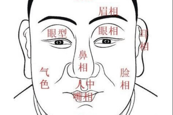 揭秘面相：如何通过面相判断并非富贵命格的人