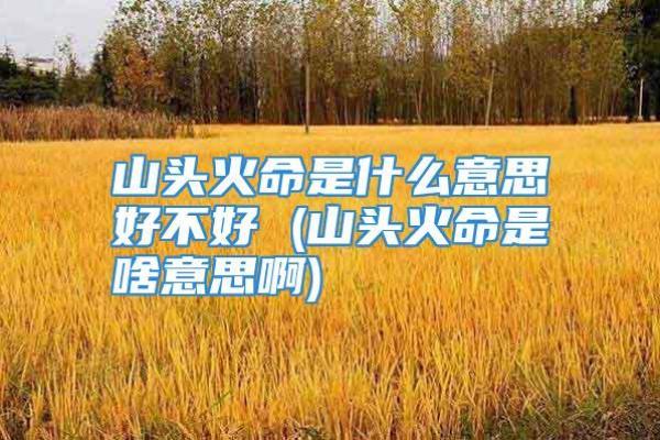 山头火命的摆件忌讳与合理选择指南
