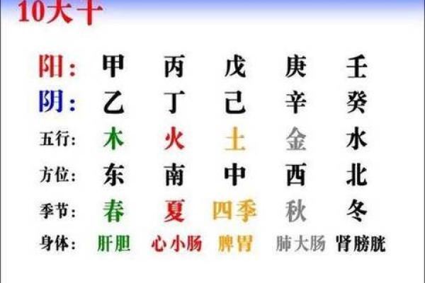 2015年辰时出生的命运解析：揭秘你的性格和未来